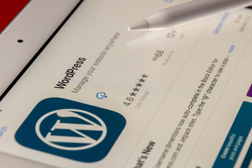 WordPress website design concept